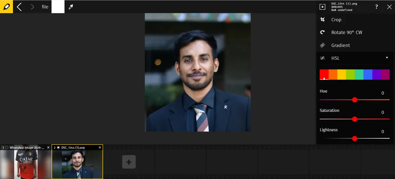 Why Use Raw.pics.io RAW Image Converter